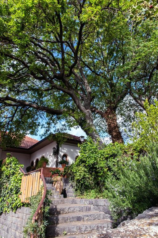 Domus Verdiana Ragalna Dış mekan fotoğraf